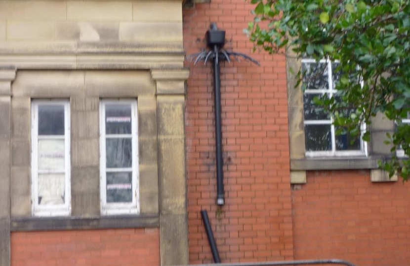 Carnegie Library Building